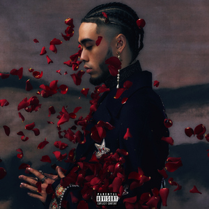 罗宾被❌吸乳歪歪漫画
