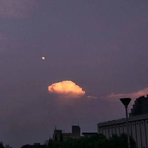 罗宾被❌吸乳歪歪漫画
